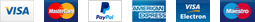 Visa, Mastercard, PayPal, American Express, maestro logos