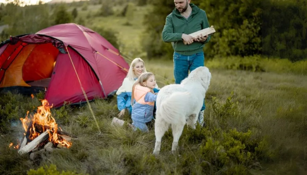 Family camping with campfire and dog outdoors